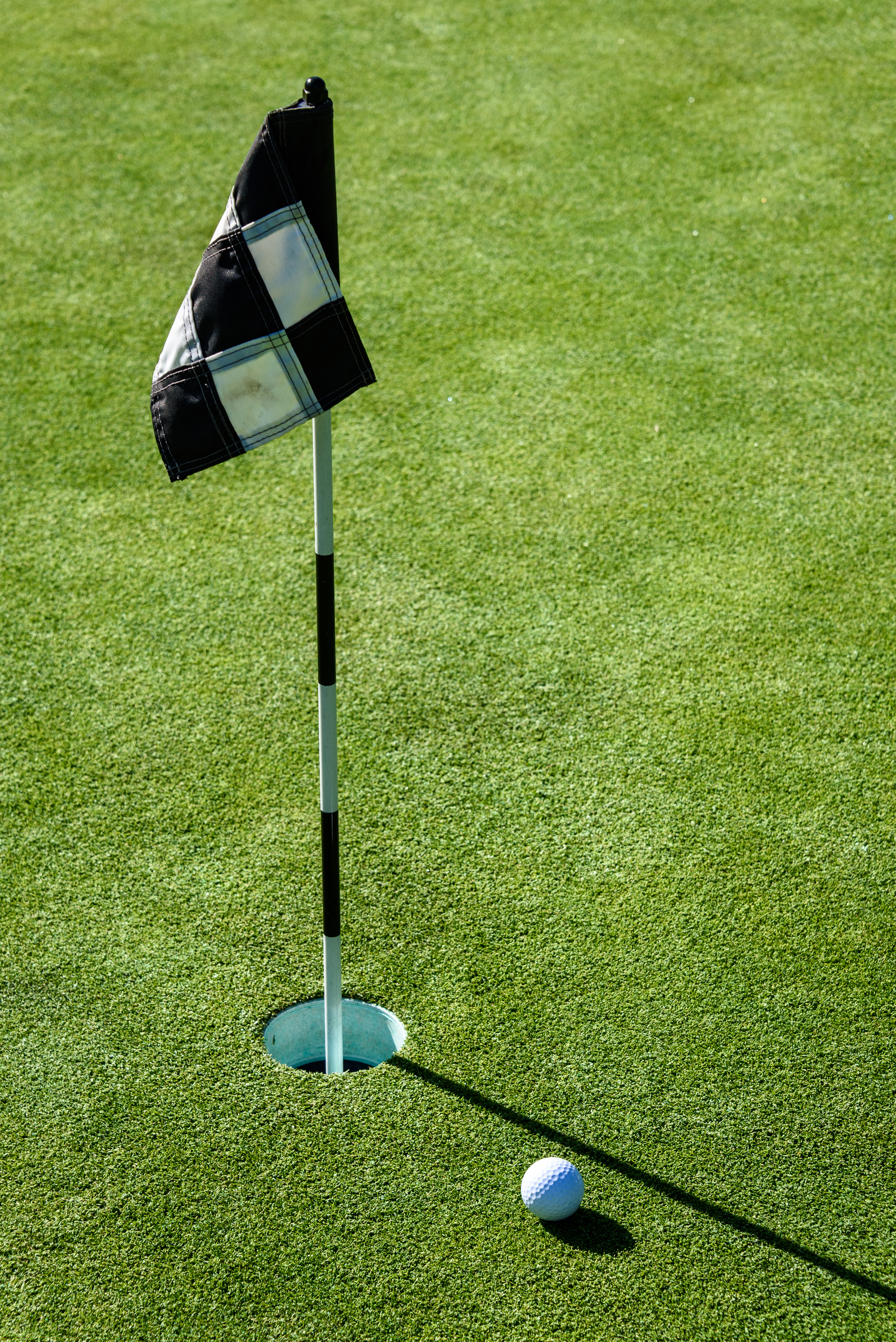 Brian Ridley golf coach