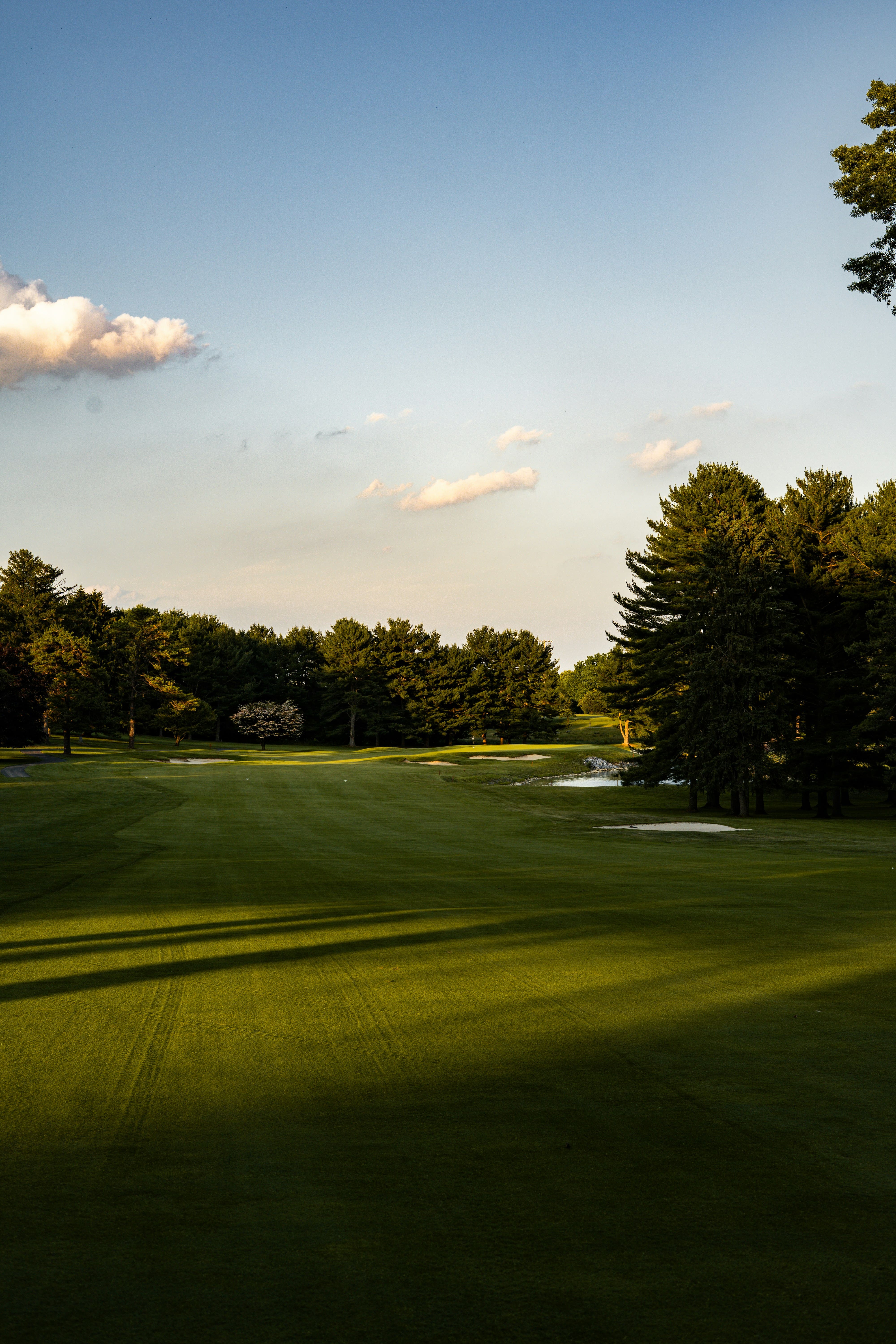 Golf course fairway at golden hour